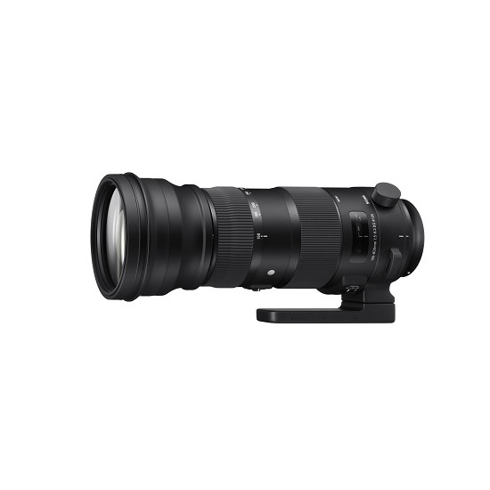 Sigma 150-600mm 1:5.0-6.3 Sports AF DG OS HSM für Canon image