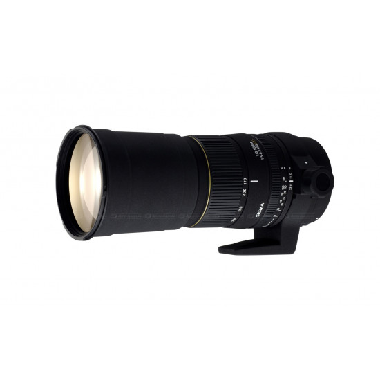 Sigma 170-500mm 1:5-6.3 APO für Canon image