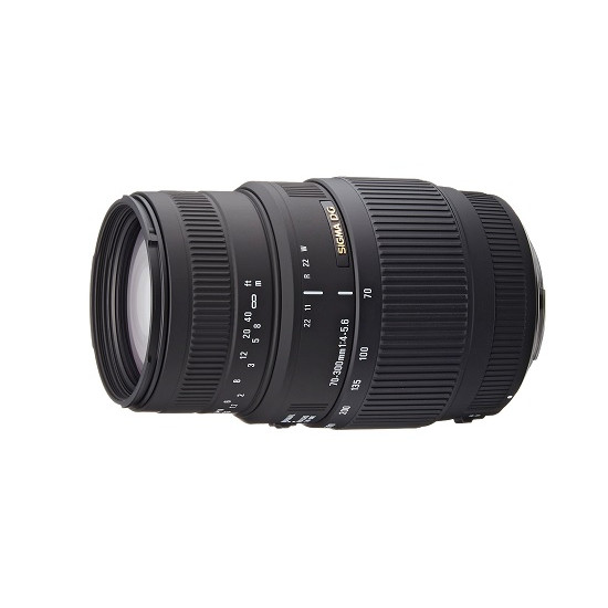 Sigma 70-300mm 1:4.0-5.6 AF DG Makro für Canon EF image