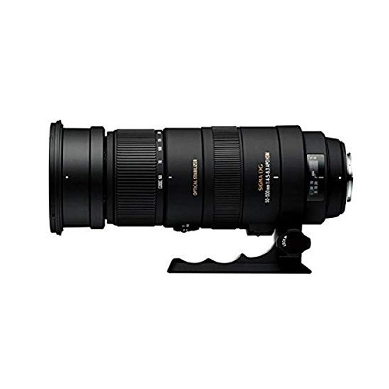Sigma 50-500mm 1:4-6.3 EX DG APO HSM für Four Thirds image