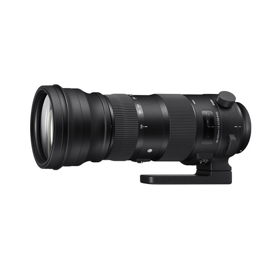 Sigma 150-600mm 1:5.0-6.3 Sports AF DG OS HSM für Nikon image