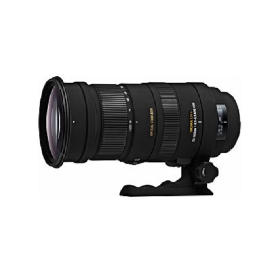 Sigma 50-500mm 1:4.0-6.3 AF EX DG APO RF für Pentax K image