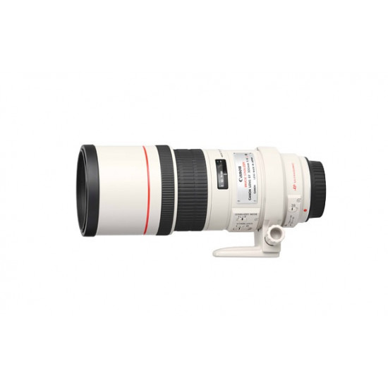 Canon 300mm 1:4.0 EF L IS USM image