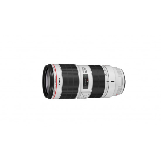 Canon 70-200mm 1:4 EF L IS USM image